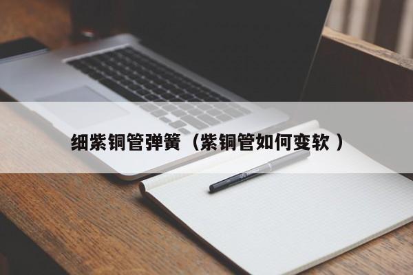 細(xì)紫銅管彈簧（紫銅管如何變軟 ）
