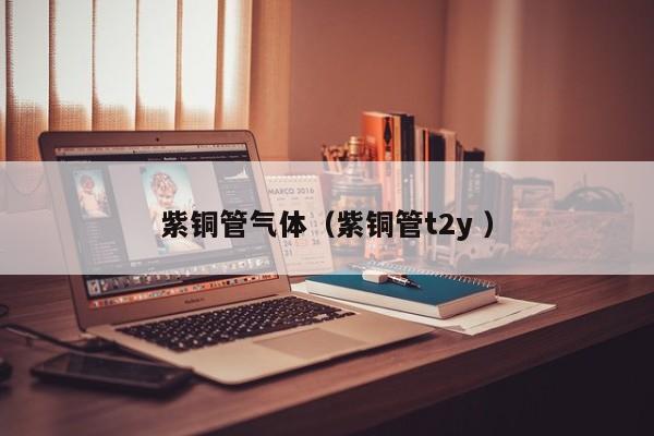 紫銅管氣體（紫銅管t2y ）