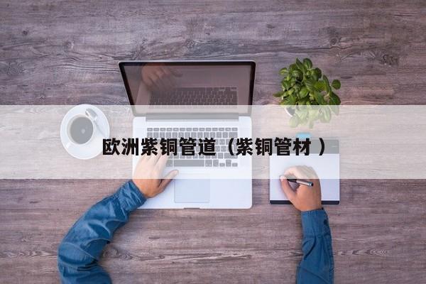 歐洲紫銅管道（紫銅管材 ）