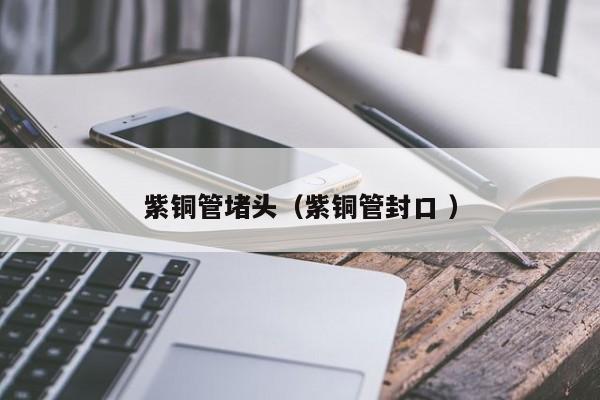 紫銅管堵頭（紫銅管封口 ）