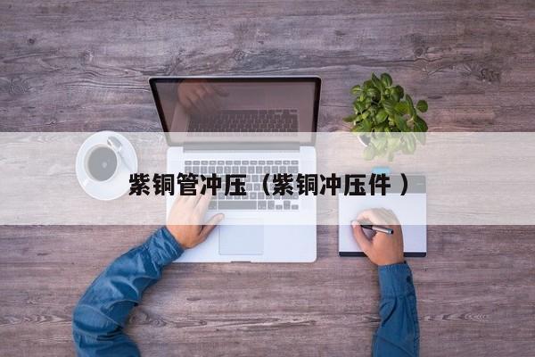 紫銅管沖壓（紫銅沖壓件 ）