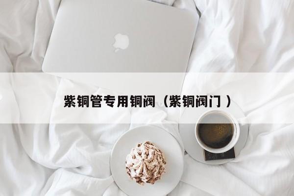 紫銅管專用銅閥（紫銅閥門 ）