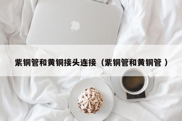 紫銅管和黃銅接頭連接（紫銅管和黃銅管 ）