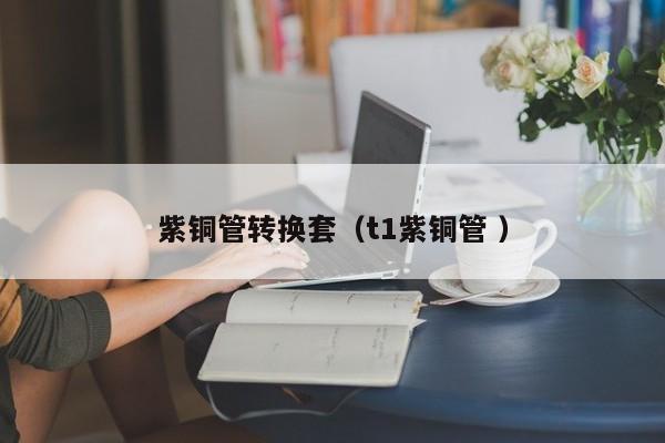 紫銅管轉(zhuǎn)換套（t1紫銅管 ）