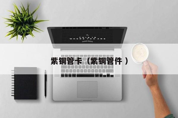 紫銅管卡（紫銅管件 ）