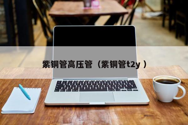 紫銅管高壓管（紫銅管t2y ）