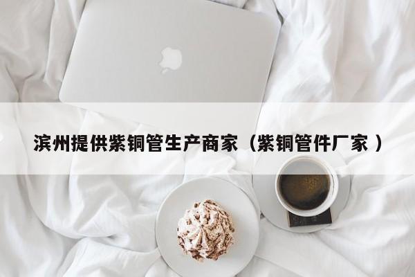濱州提供紫銅管生產(chǎn)商家（紫銅管件廠家 ）