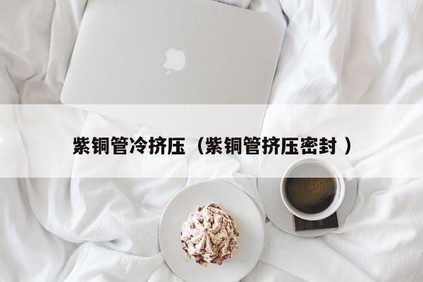 紫銅管冷擠壓（紫銅管擠壓密封 ）