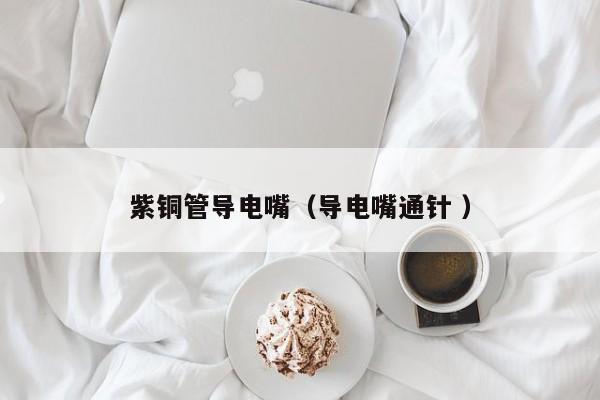 紫銅管導(dǎo)電嘴（導(dǎo)電嘴通針 ）