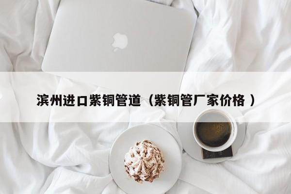 濱州進口紫銅管道（紫銅管廠家價格 ）