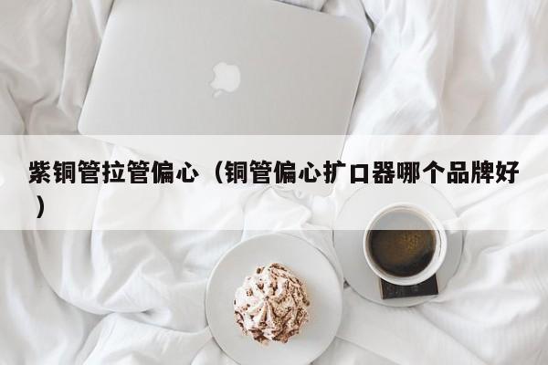 紫銅管拉管偏心（銅管偏心擴(kuò)口器哪個(gè)品牌好 ）