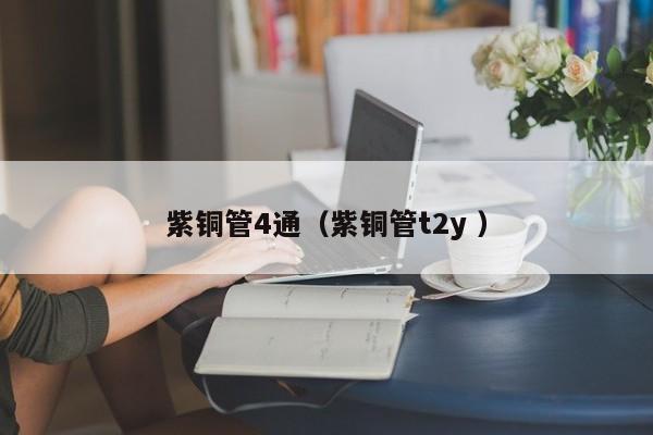 紫銅管4通（紫銅管t2y ）