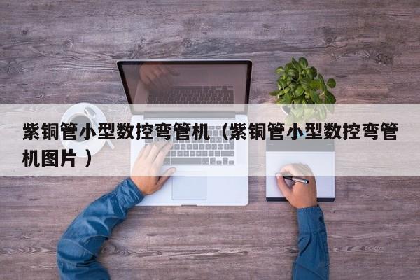 紫銅管小型數(shù)控彎管機（紫銅管小型數(shù)控彎管機圖片 ）