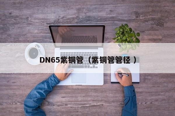 DN65紫銅管（紫銅管管徑 ）