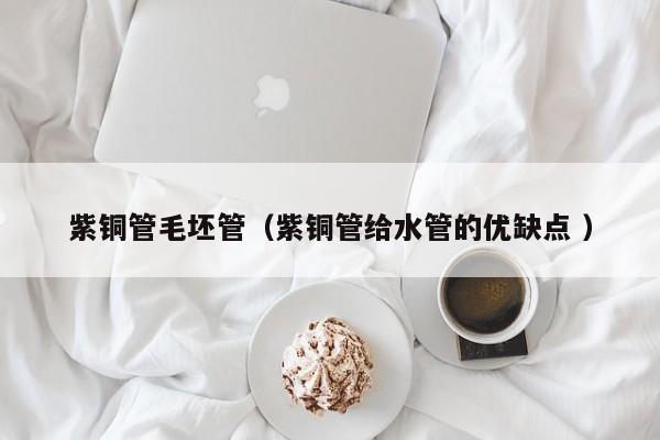 紫銅管毛坯管（紫銅管給水管的優(yōu)缺點 ）
