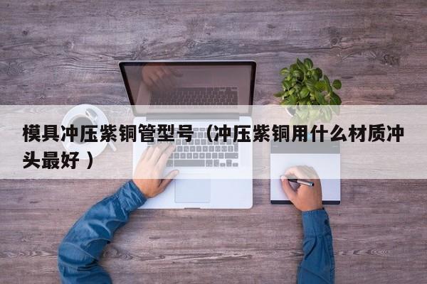 模具沖壓紫銅管型號(hào)（沖壓紫銅用什么材質(zhì)沖頭最好 ）