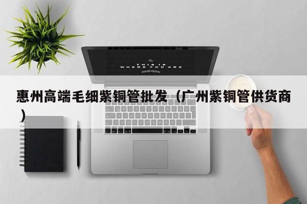惠州高端毛細(xì)紫銅管批發(fā)（廣州紫銅管供貨商 ）