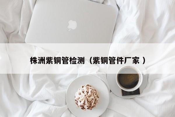 株洲紫銅管檢測（紫銅管件廠家 ）