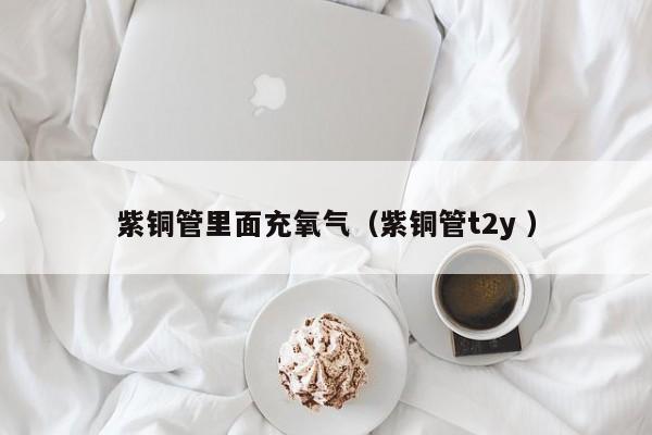 紫銅管里面充氧氣（紫銅管t2y ）