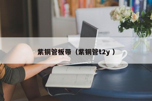 紫銅管板帶（紫銅管t2y ）