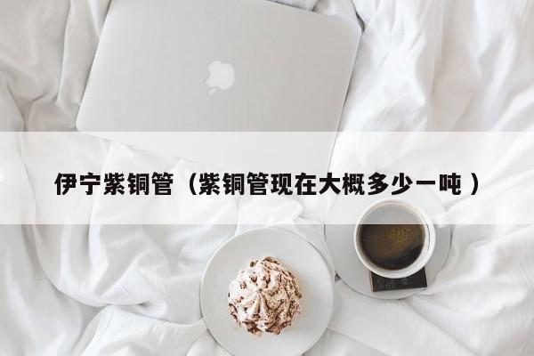 伊寧紫銅管（紫銅管現(xiàn)在大概多少一噸 ）